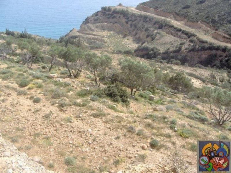 Kokkinos Pirgos Kreta, Kokkinos Pirgos, Agia Galini, gr. Grundstück 130.000qm² mit Panorama Meerblick zu verkaufen Grundstück kaufen